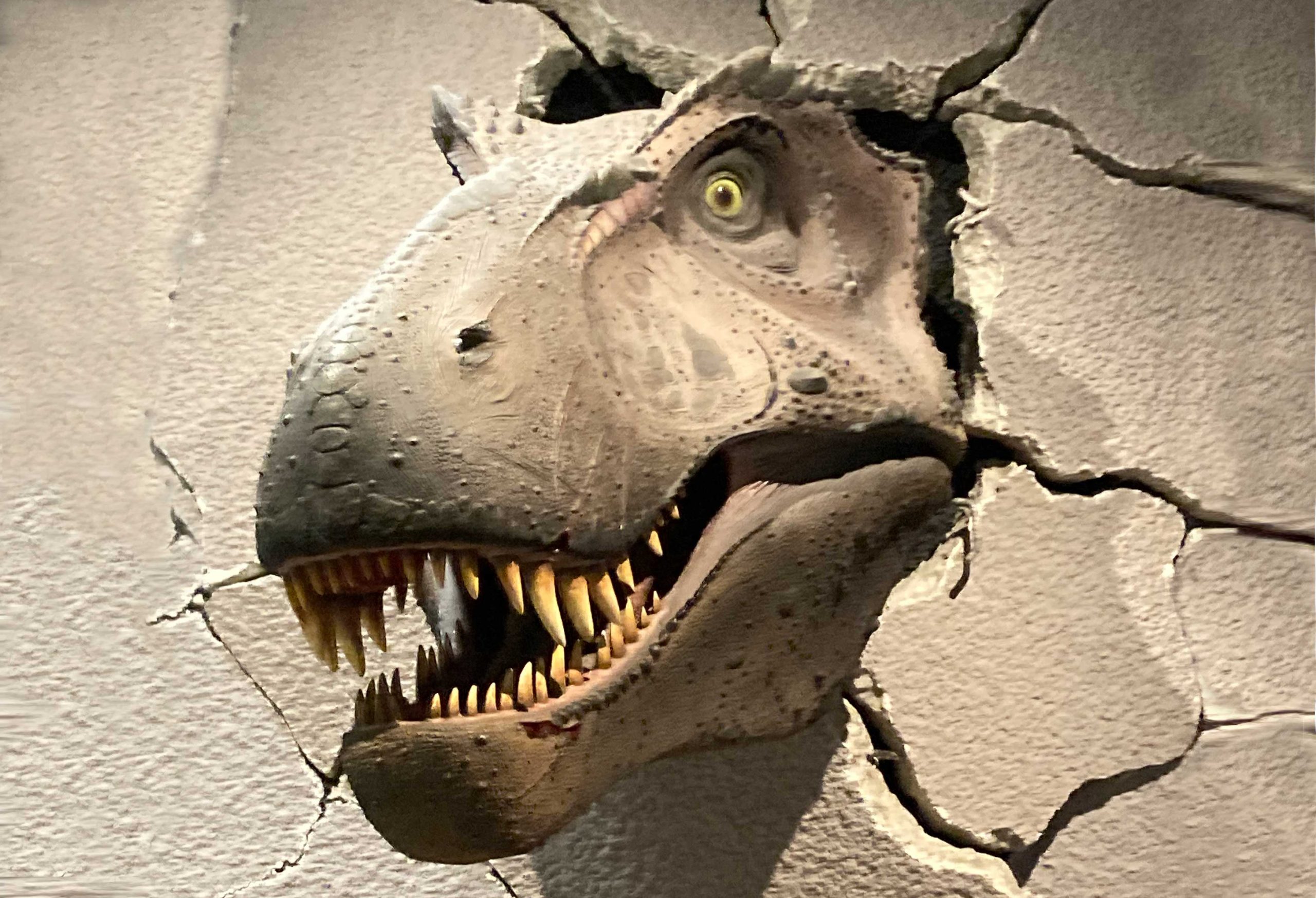 POLIGENIUS-im-Dino-Museum